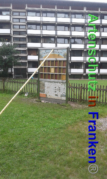 © Artenschutz in Franken® Bild zum Eintrag (93675-160)