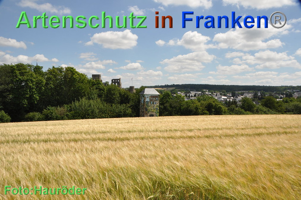 Copyright AiF Klemens Hauröder Bild zum Eintrag (93811-160)