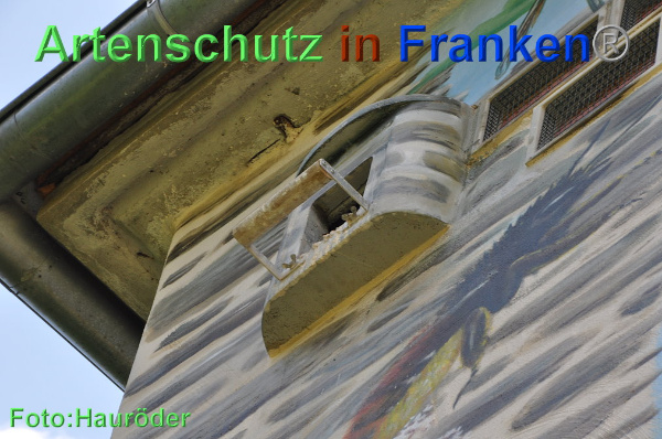 Copyright AiF Klemens Hauröder Bild zum Eintrag (93817-160)