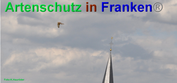 Copyright AiF Klemens Hauröder Bild zum Eintrag (93920-160)