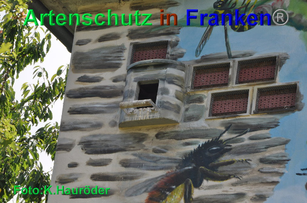 Copyright AiF Klemens Hauröder Bild zum Eintrag (93921-160)