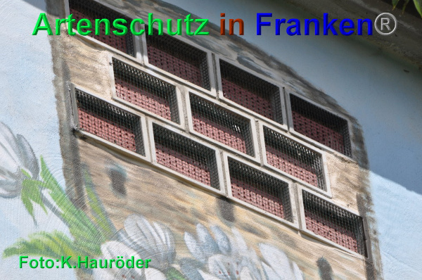 Copyright AiF Klemens Hauröder Bild zum Eintrag (93922-160)