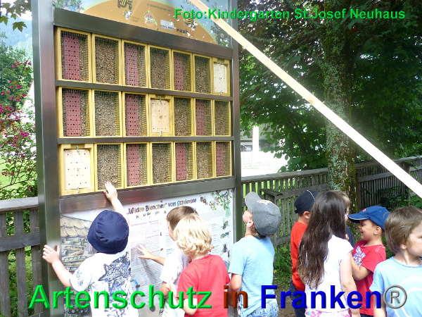 Copyright AiF Kindergarten St. Josef Bild zum Eintrag (93928-160)