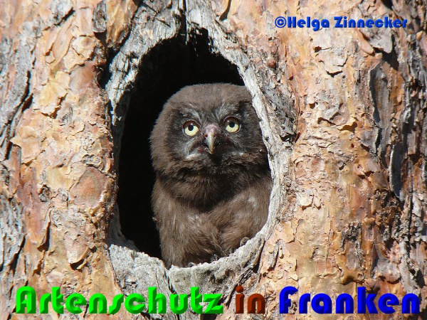 Copyright AiF - Helga Zinnecker Bild zum Eintrag (93977-160)