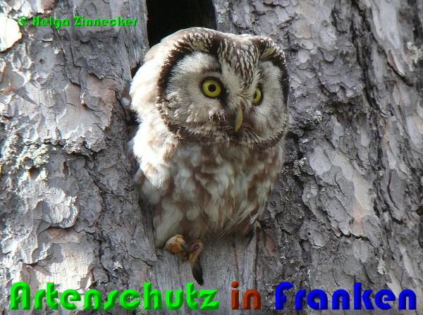 Copyright AiF - Helga Zinnecker Bild zum Eintrag (93978-160)