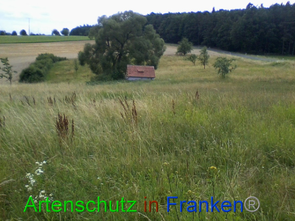 Bild zum Eintrag (94002-160)