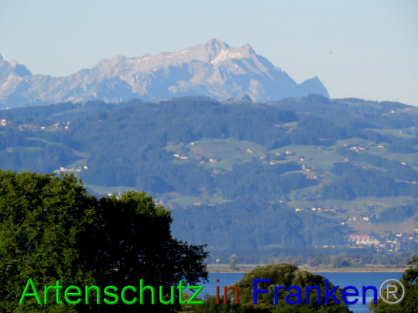 Bild zum Eintrag (94040-160)