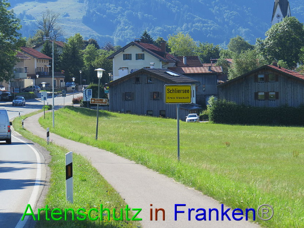 Bild zum Eintrag (94047-160)