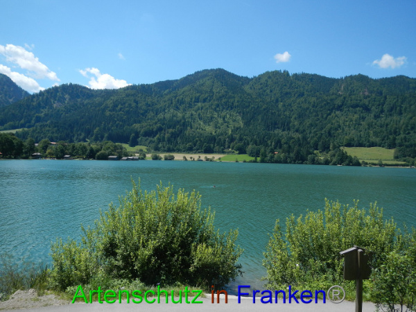 Bild zum Eintrag (94050-160)