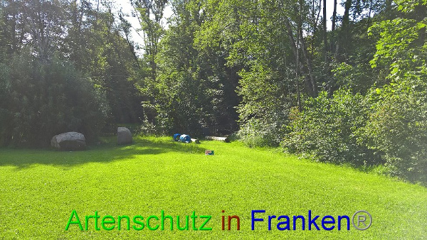 Bild zum Eintrag (94078-160)