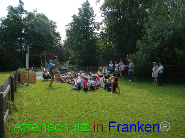Bild zum Eintrag (94102-160)