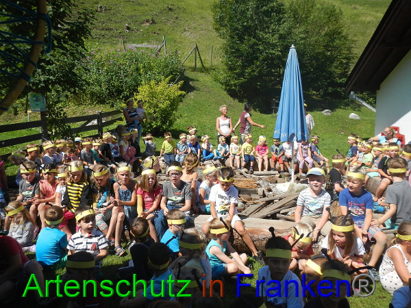 Bild zum Eintrag (94132-160)