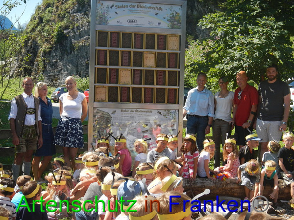 Bild zum Eintrag (94133-160)