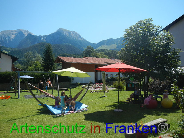 Bild zum Eintrag (94136-160)