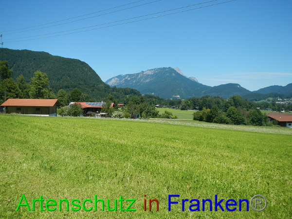 Bild zum Eintrag (94142-160)