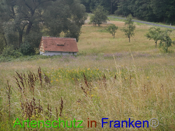 Bild zum Eintrag (94441-160)