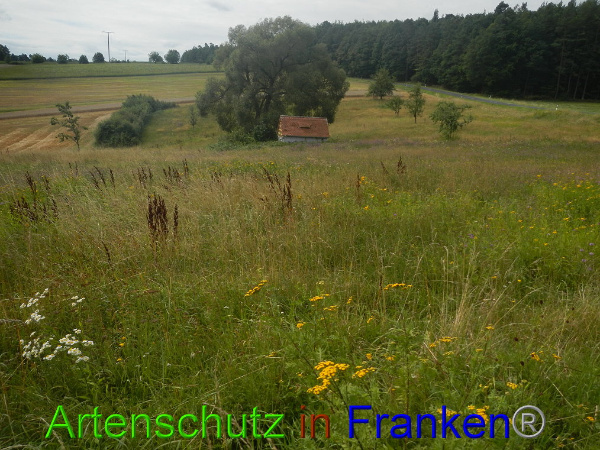 Bild zum Eintrag (94445-160)