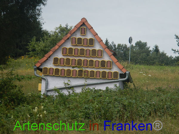 Bild zum Eintrag (94446-160)