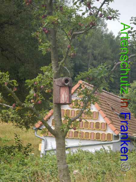 Bild zum Eintrag (94448-160)