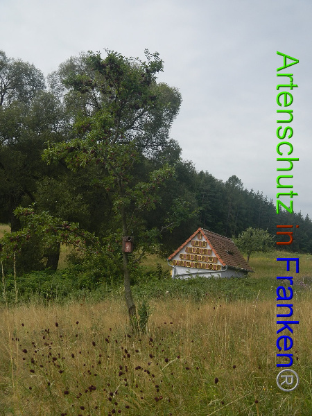 Bild zum Eintrag (94449-160)
