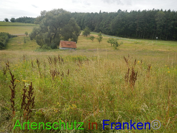 Bild zum Eintrag (94452-160)