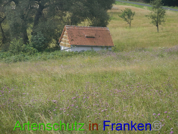 Bild zum Eintrag (94453-160)