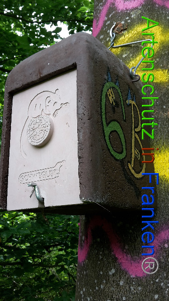Bild zum Eintrag (94524-160)