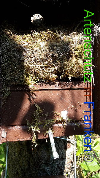 Bild zum Eintrag (94538-160)