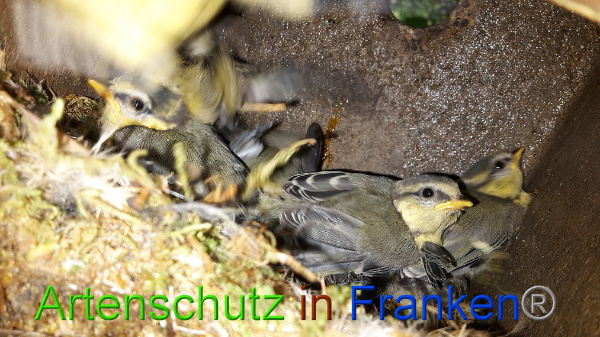 Bild zum Eintrag (94539-160)