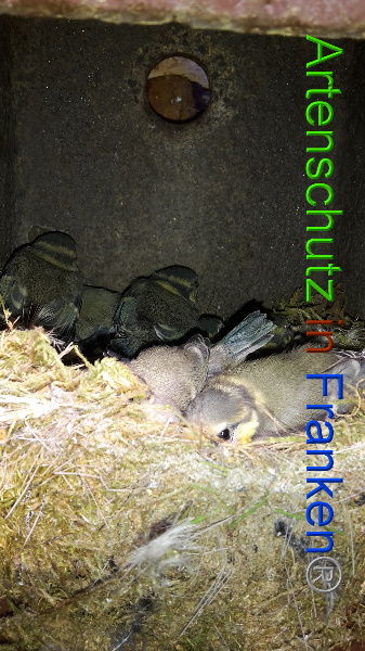 Bild zum Eintrag (94540-160)