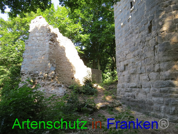 Bild zum Eintrag (94737-160)