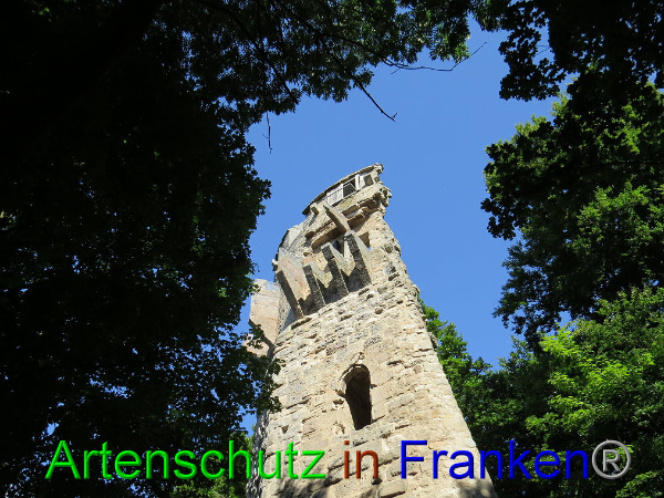 Bild zum Eintrag (94764-160)