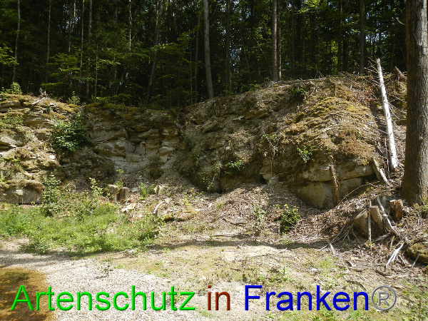 Bild zum Eintrag (94782-160)