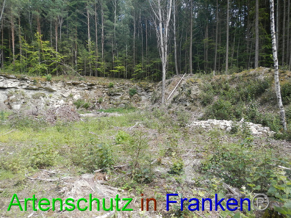 Bild zum Eintrag (94793-160)