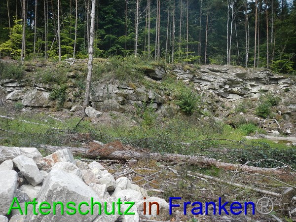 Bild zum Eintrag (94796-160)