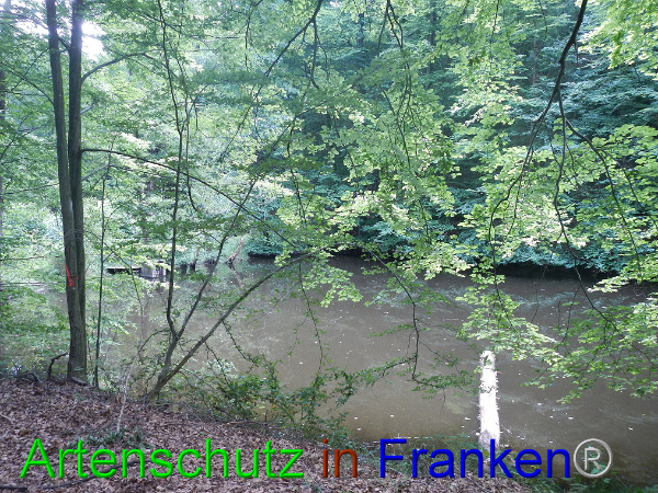 Bild zum Eintrag (94808-160)