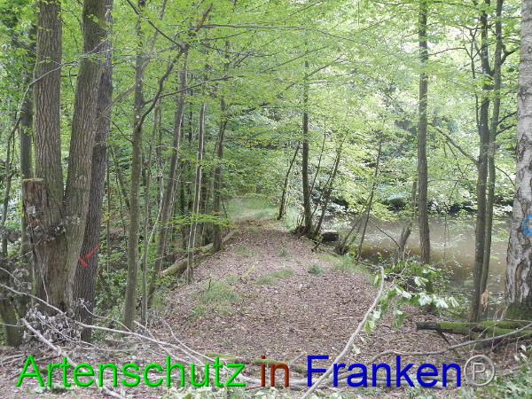 Bild zum Eintrag (94817-160)