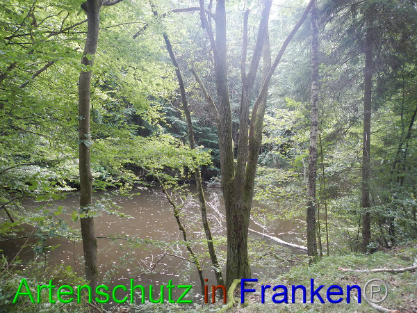 Bild zum Eintrag (94818-160)