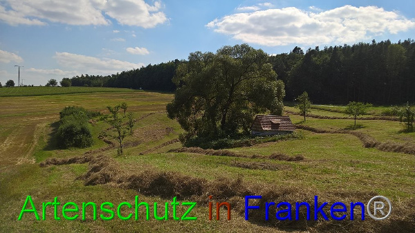 Bild zum Eintrag (94833-160)