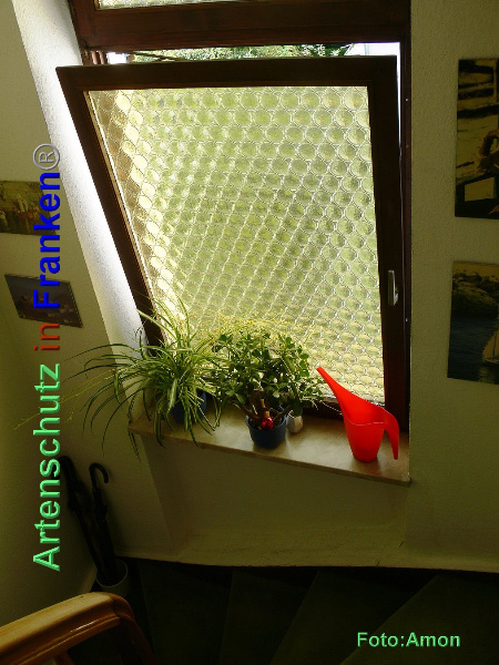 Copyright AiF / Amon Bild zum Eintrag (95420-160)
