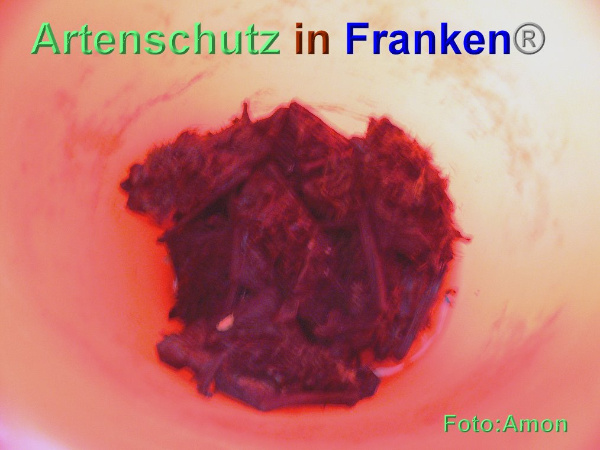 Copyright AiF / Amon Bild zum Eintrag (95421-160)