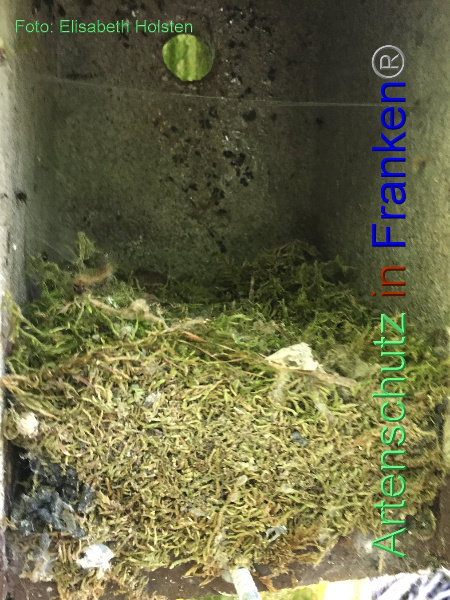 Copyright AiF - Elisabeth Holsten Bild zum Eintrag (95700-160)