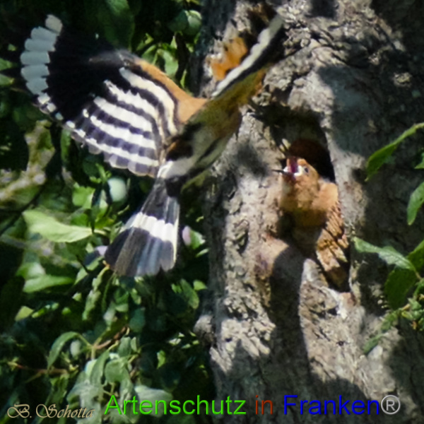 Copyright AiF / B.Schotta Bild zum Eintrag (95731-160)