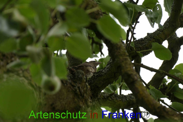 Copyright AiF / B.Schotta Bild zum Eintrag (95733-160)