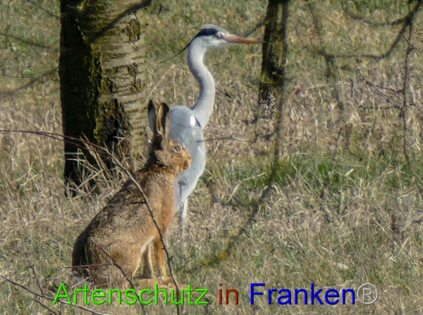 Copyright AiF / B.Schotta Bild zum Eintrag (95736-160)