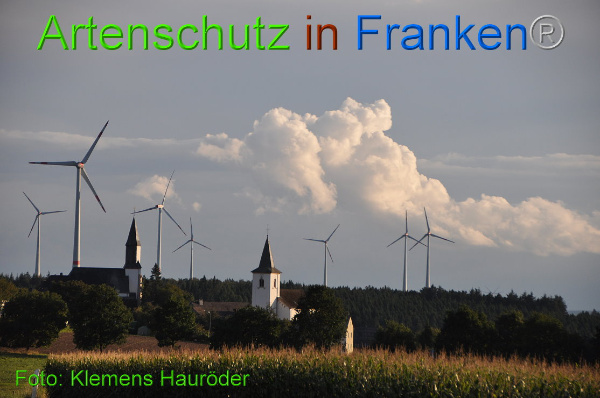 Copyright AiF Klemens Hauröder Bild zum Eintrag (95764-160)