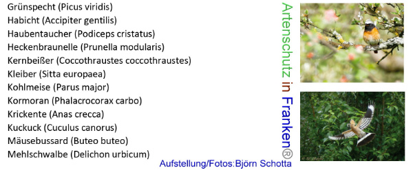 Copyright AiF Björn Schotta Bild zum Eintrag (96049-160)