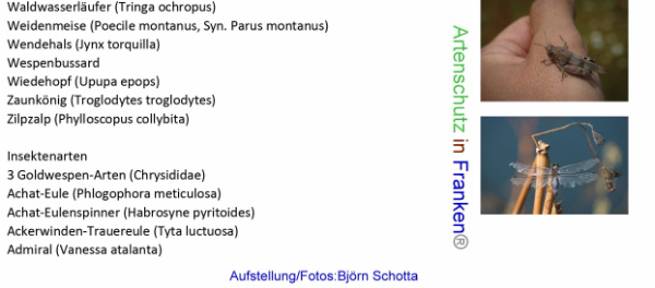 Bild zum Eintrag (96052-160)