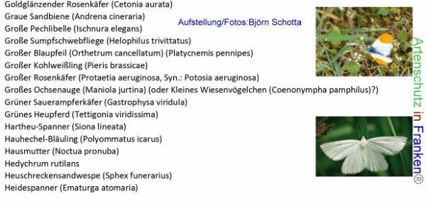 Copyright AiF Björn Schotta Bild zum Eintrag (96055-160)
