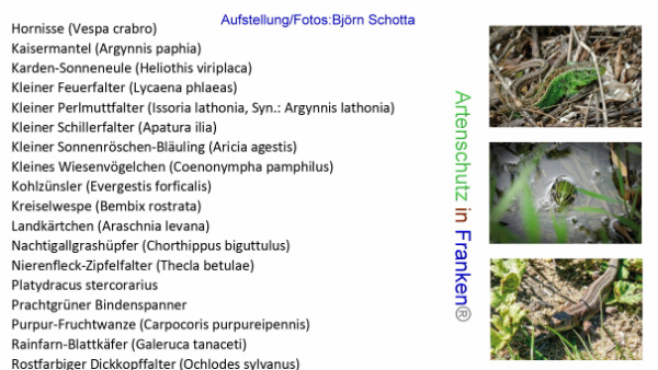 Copyright AiF Björn Schotta Bild zum Eintrag (96056-160)